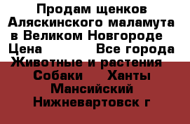 Продам щенков Аляскинского маламута в Великом Новгороде › Цена ­ 5 000 - Все города Животные и растения » Собаки   . Ханты-Мансийский,Нижневартовск г.